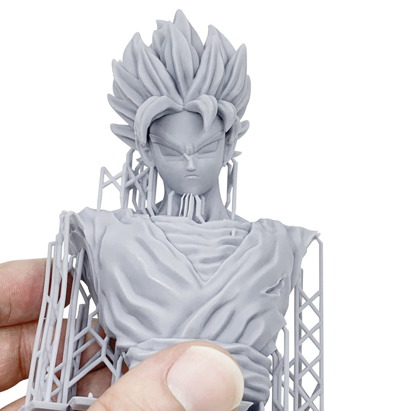 Flashforge Foto 8.9 Flashforge Foto 8.9